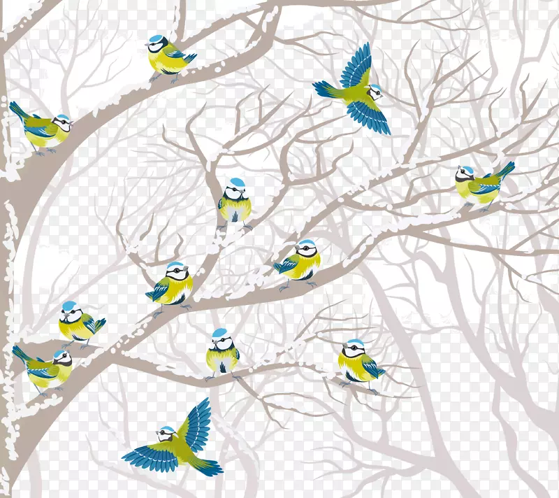 鸟类树冬季剪贴画-创造性冬季鸟类