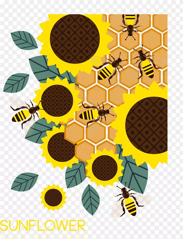 蜜蜂蜂巢普通向日葵蜜蜂采集蜂蜜