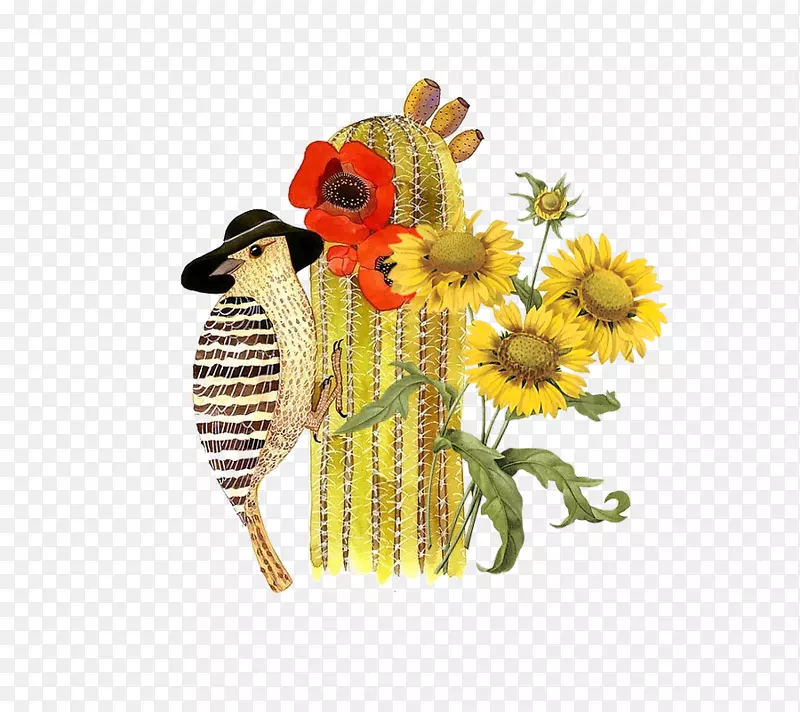 鸟类纺织品绘画插图.仙人掌啄木鸟