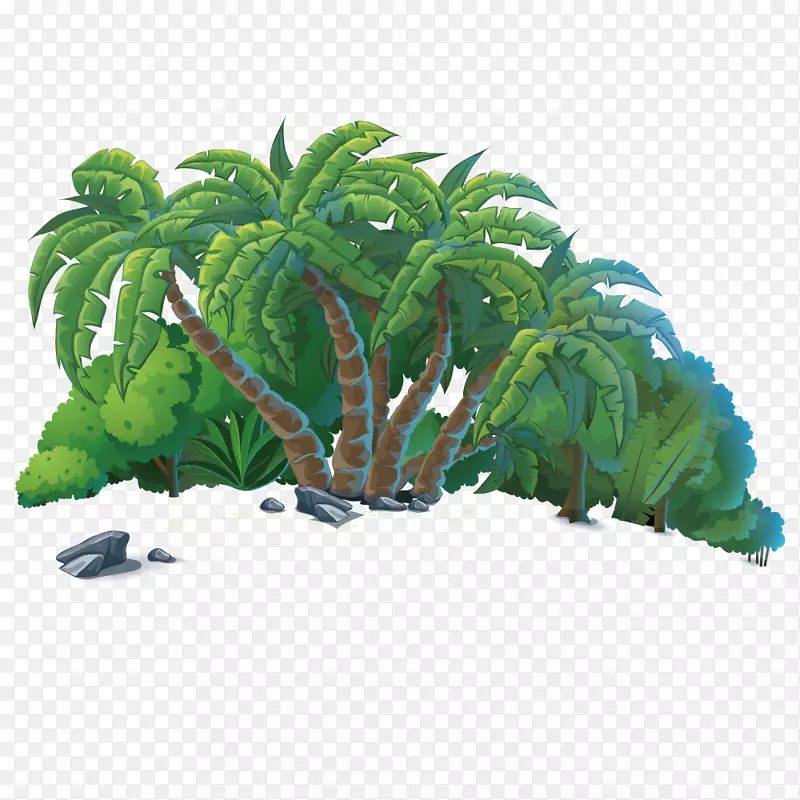海滨椰子树石