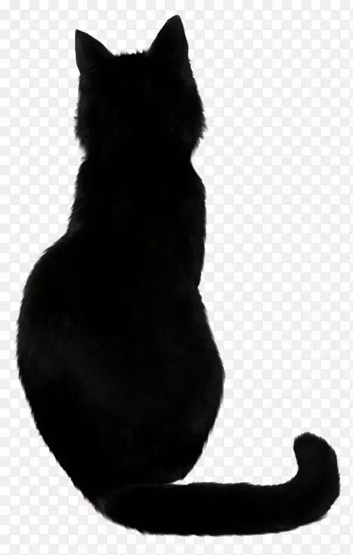 萨凡纳猫黑猫食猫女巫猫