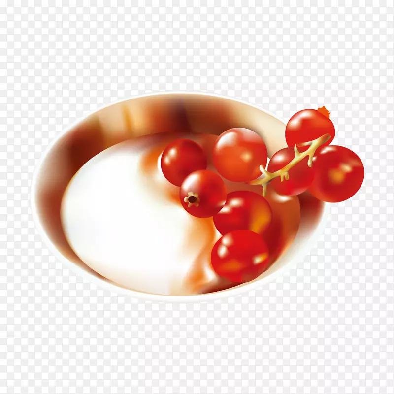 水果-载体植物-载体红色浆果和盘子