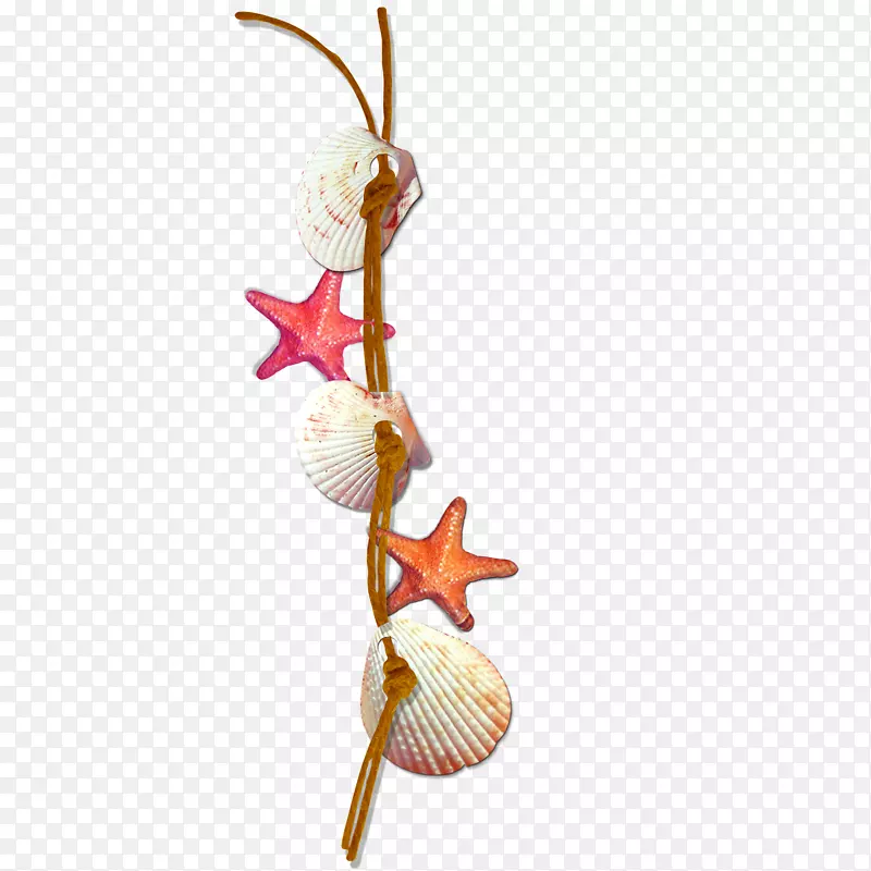 贝壳夹艺术贝壳和海星装饰绳