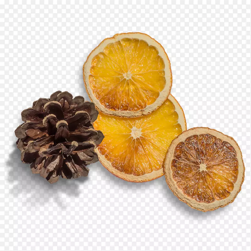 橙下载-紫锥菊柠檬
