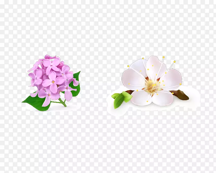 花卉绘画-免费花卉设计-梨花