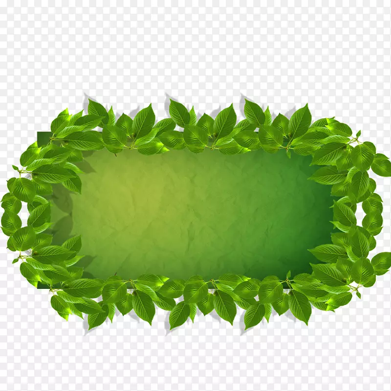 Adobe插图-绿色背景