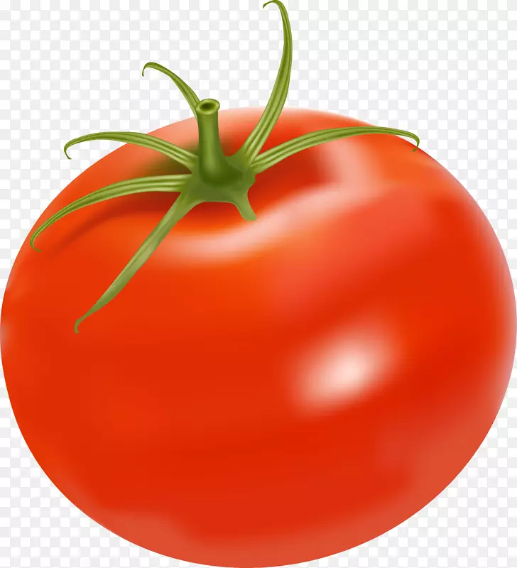 李子番茄鸡肉沙拉灌木丛番茄剪贴画番茄