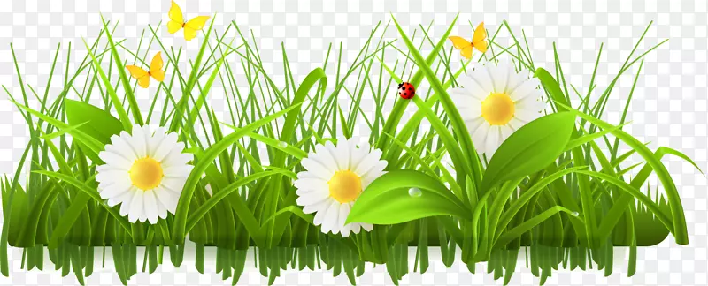 春季摄影插花艺术-绿色花朵，灌木丛