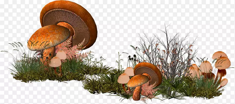 蘑菇剪贴画-卡通草菇林装饰图案