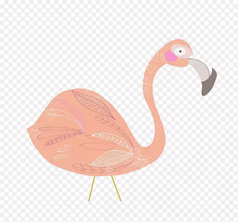 喙火烈鸟-粉红色天鹅