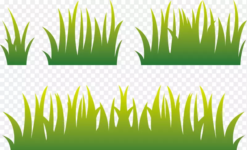 草坪-稻田