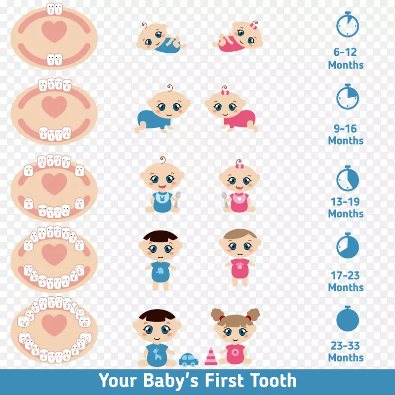 牙形婴儿乳牙萌出-卡通婴儿牙