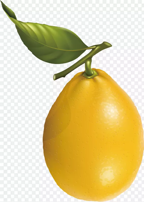 柠檬柑桔果实剪贴画.梨载体