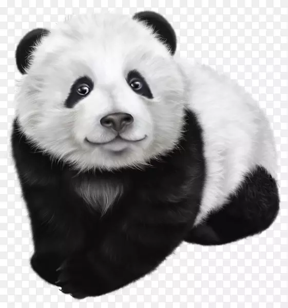 大熊猫红熊猫考拉剪贴画手绘大卫熊猫
