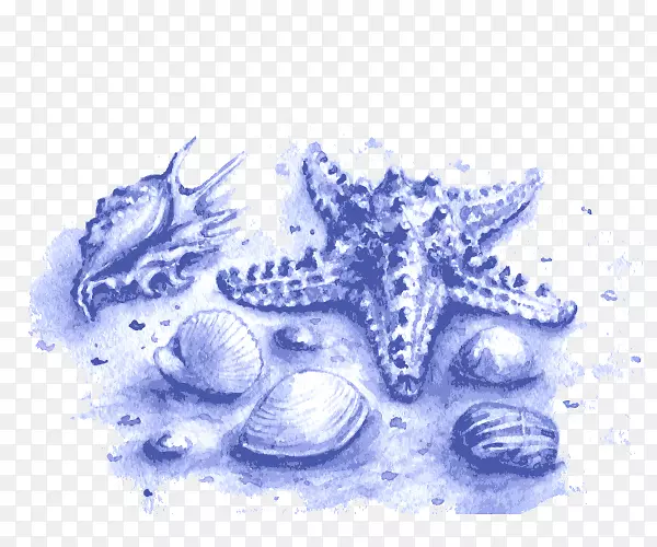 水彩画海洋生物插图蓝海螺