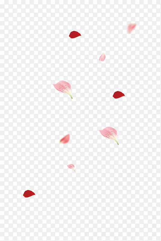 纺织红色花瓣图案.落花花瓣