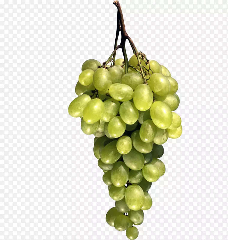 苏塔纳葡萄藤浆果-创意葡萄