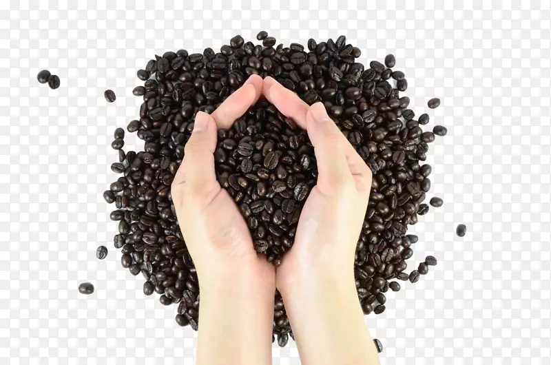 咖啡豆阿拉比卡咖啡豆