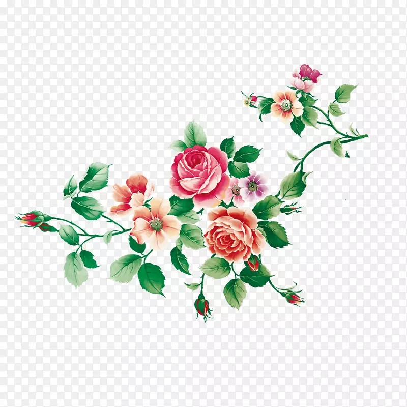 花园玫瑰，鲜花齐溪节-牡丹
