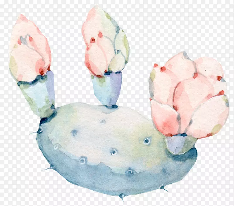 水彩画：花卉水彩画仙人掌手绘水彩画仙人掌