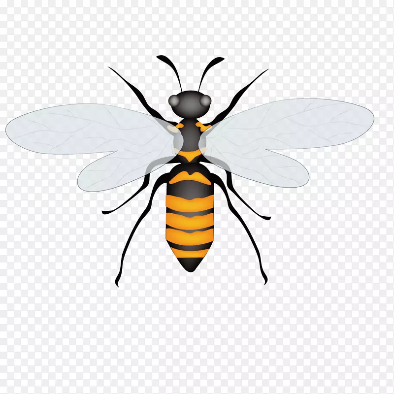 蜜蜂昆虫载体-夏蜻蜓