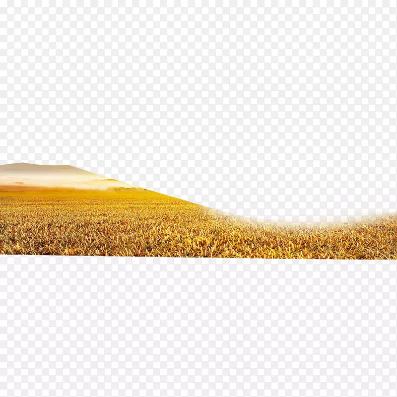 黄地-稻田