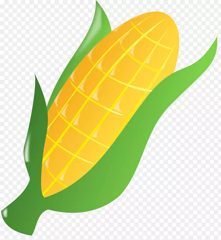玉米上的糖果玉米爆米花甜玉米剪辑艺术-玉米