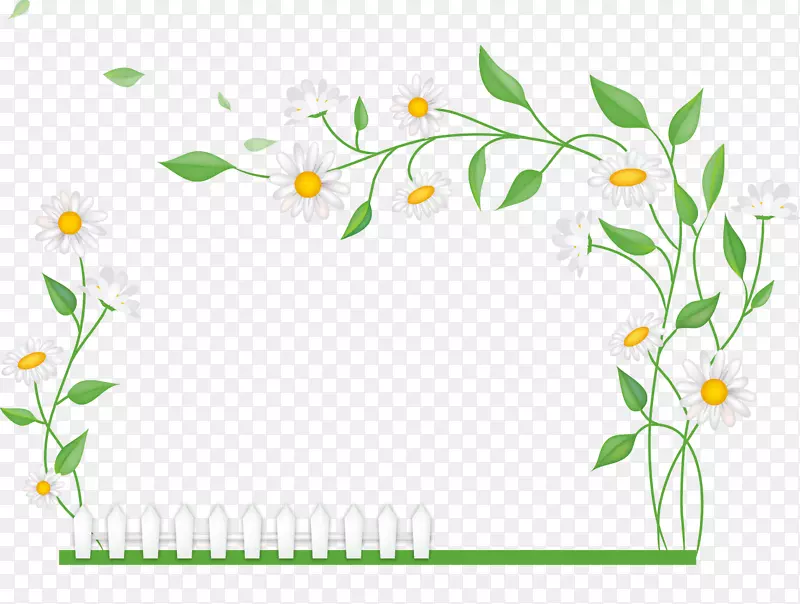 绿色摄影.绿色菊花装饰载体
