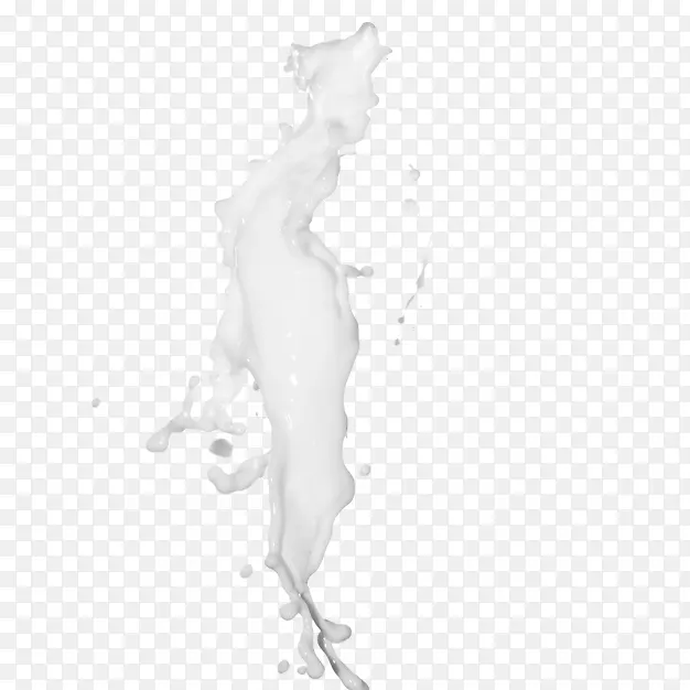 脊椎动物黑白纺织品图案-液体射流