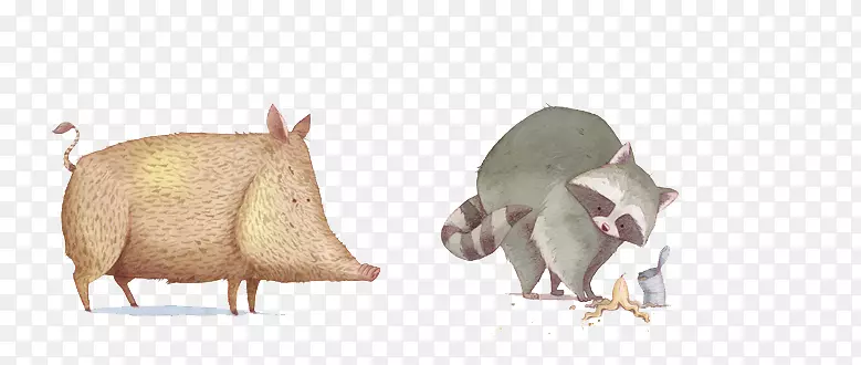 野猪卡通插图-可怜的浣熊手绘野猪