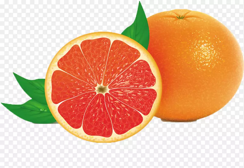 果汁葡萄柚-免费剪贴画-新鲜柠檬