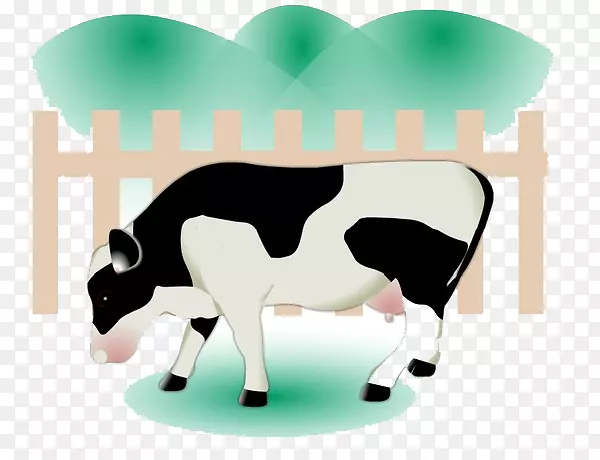 荷斯坦弗里西亚奶牛乳牛图-一只奶牛