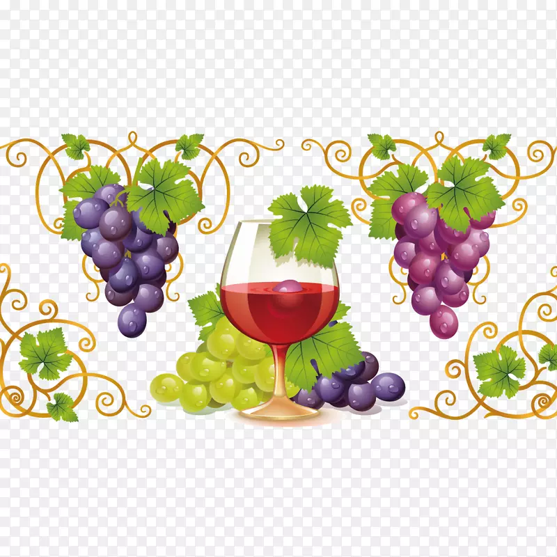 普通葡萄剪贴画-葡萄和葡萄酒