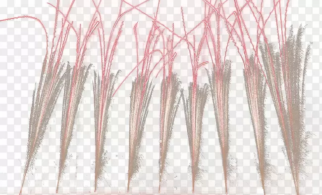 木角-烟花