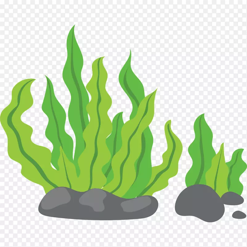 海藻剪贴画.绿色背景
