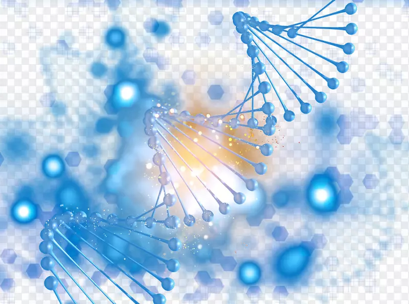 生物基因生物学食物链-生物遗传链