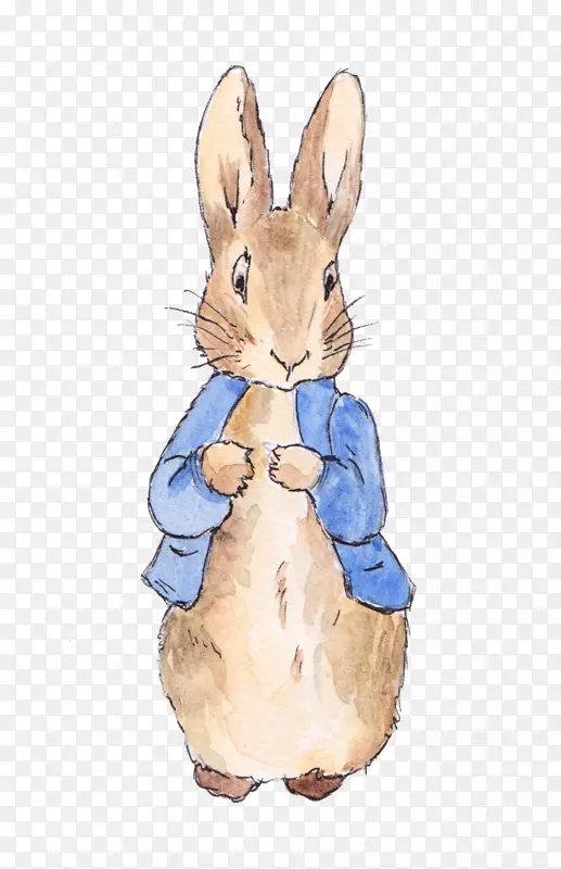 彼得·兔子婚礼邀请函的故事-开放的水彩画兔子爱情