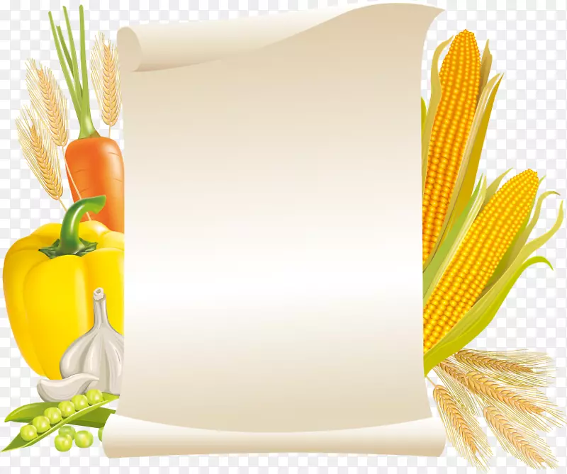 纸标签食品-玉米