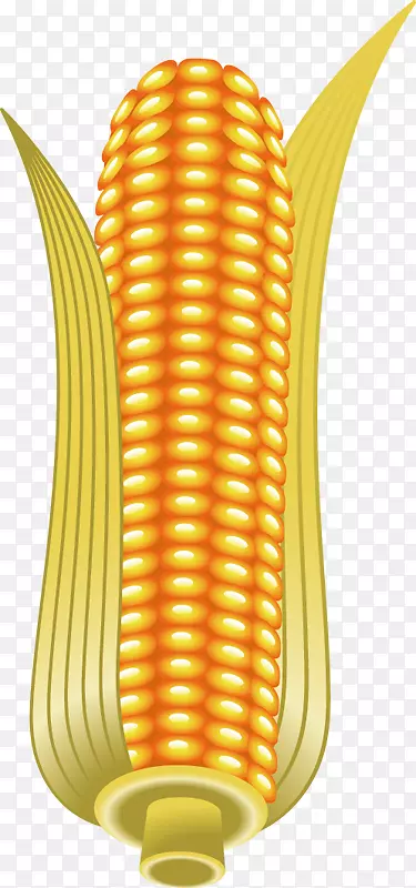 玉米上的玉米剪贴画.金色玉米图案