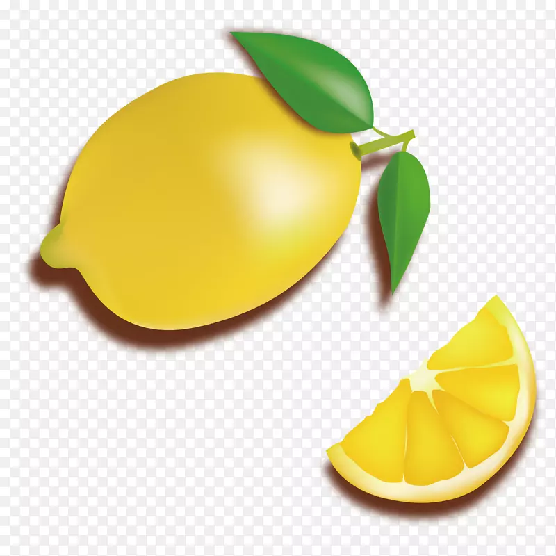 柠檬食品.载体柠檬片