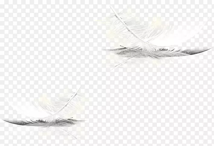黑白灰色图案-浮动羽毛