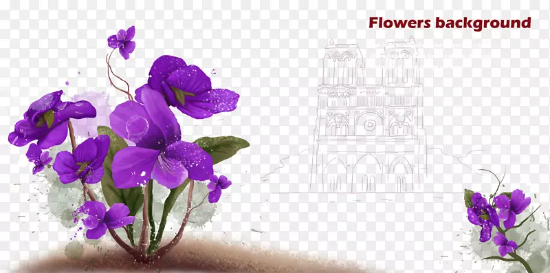 花紫色谷歌图片水彩画-紫色蝴蝶花图像源文件