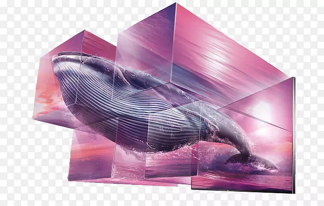 广告艺术总监创意电视鲸鱼