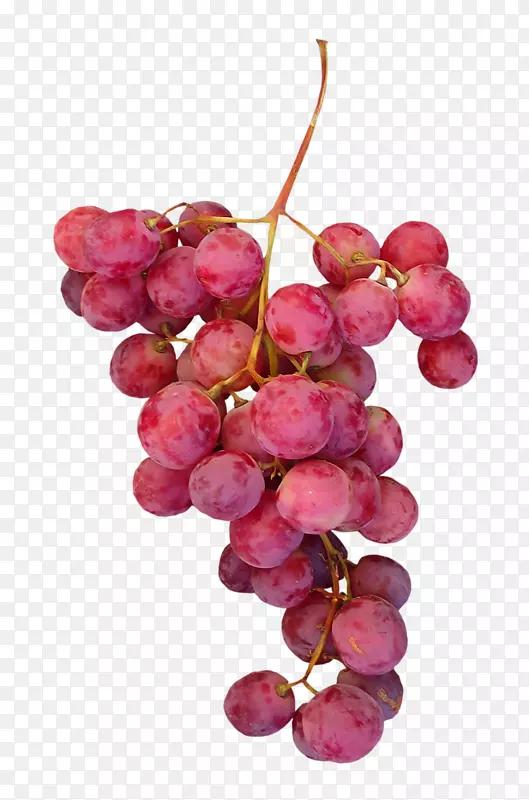 葡萄叶水果葡萄干-创新葡萄果实