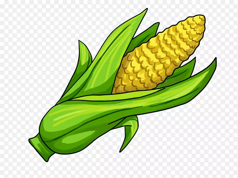 玉米上的玉米夹艺术.手绘玉米