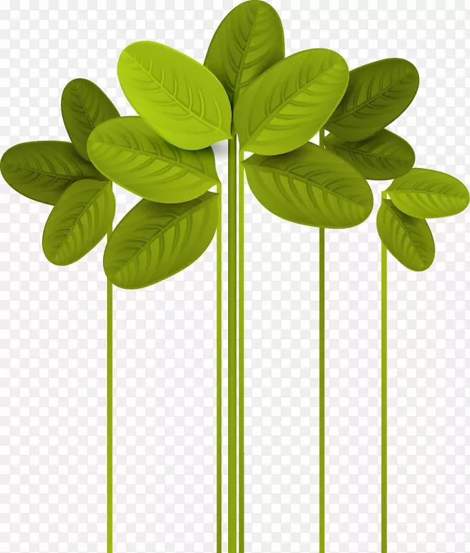 叶绿色卡通叶三叶草
