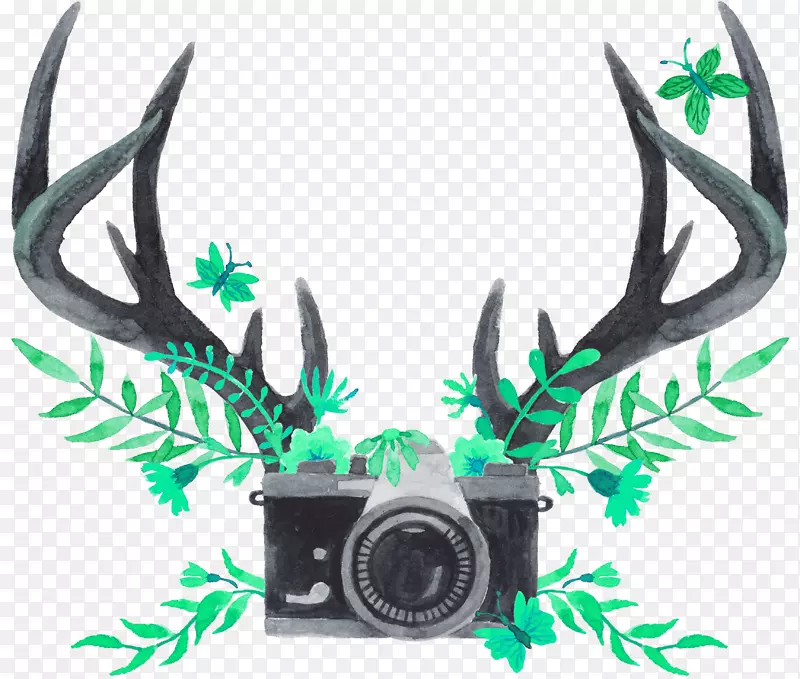 鹿角水彩画驯鹿天猫-绿色简单鹿角相机装饰图案