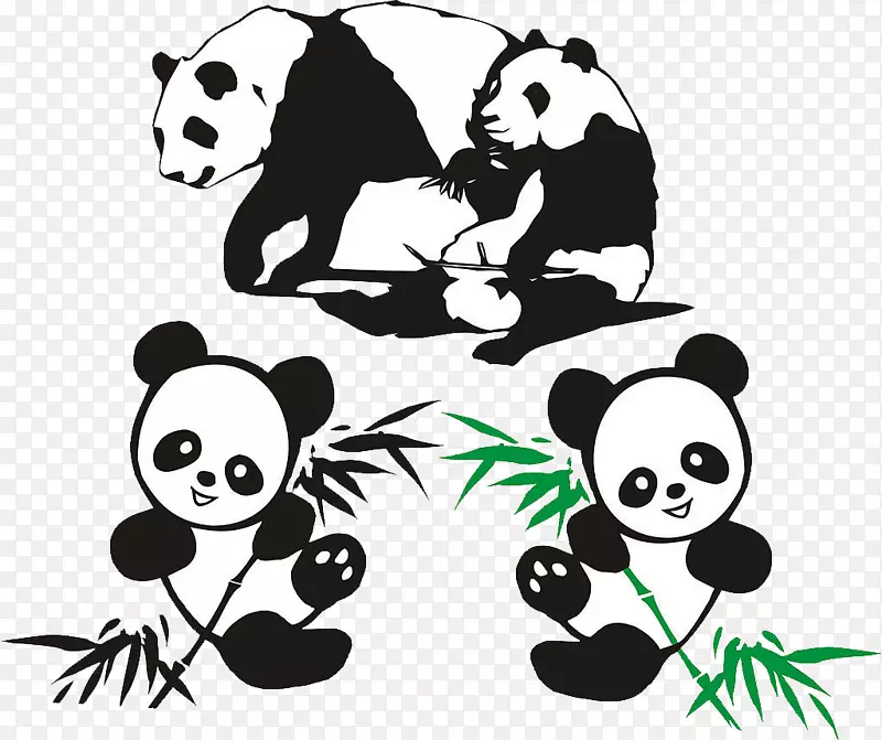 大熊猫红熊猫竹子熊猫吃竹子