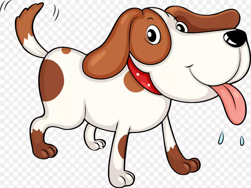 比格金毛猎犬西伯利亚哈士奇犬品种-宠物狗