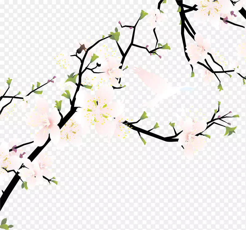 樱花插画-粉红色白鲜桃枝